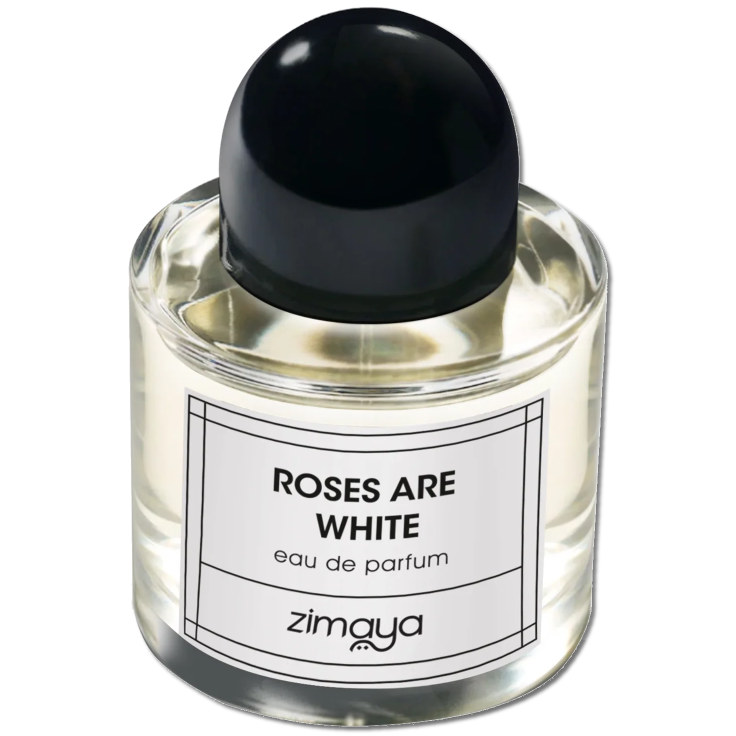 Zimaya Roses Are White