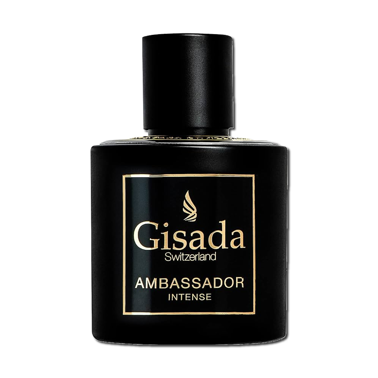 Gisada Ambassador Intense
