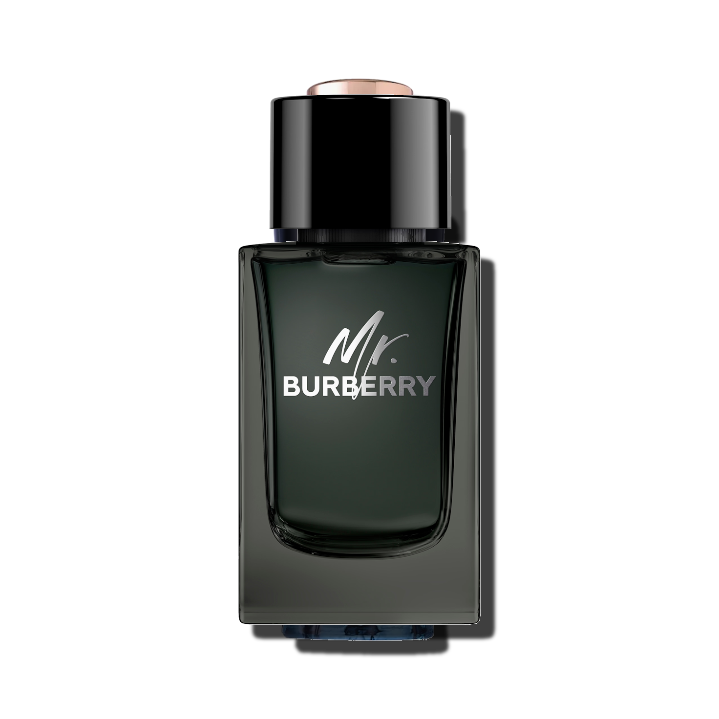 Mr. Burberry EDP