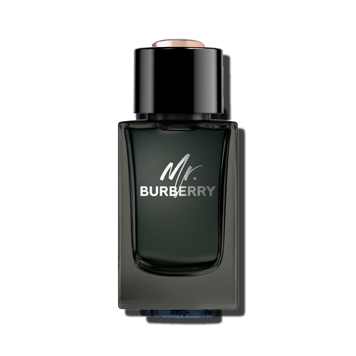 Mr. Burberry EDP