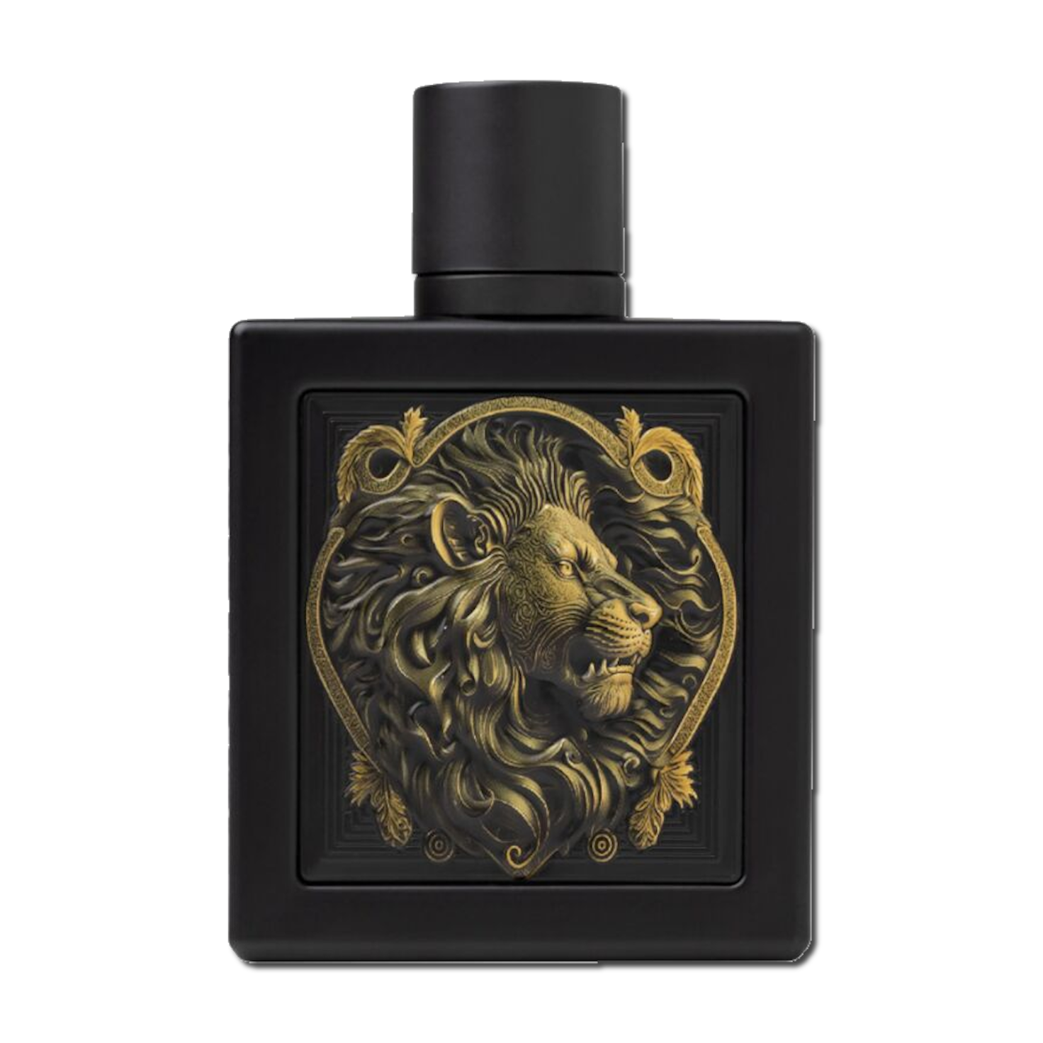 Rayhaan Lion