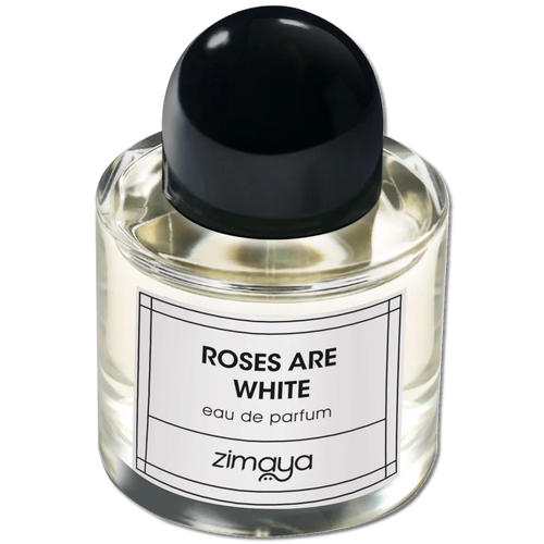 Zimaya Roses Are White